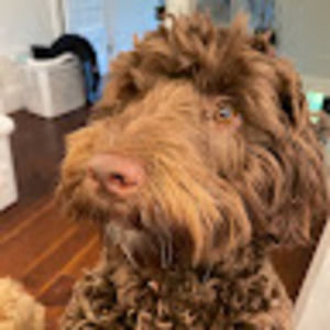 Meet your Posher, Vanessa